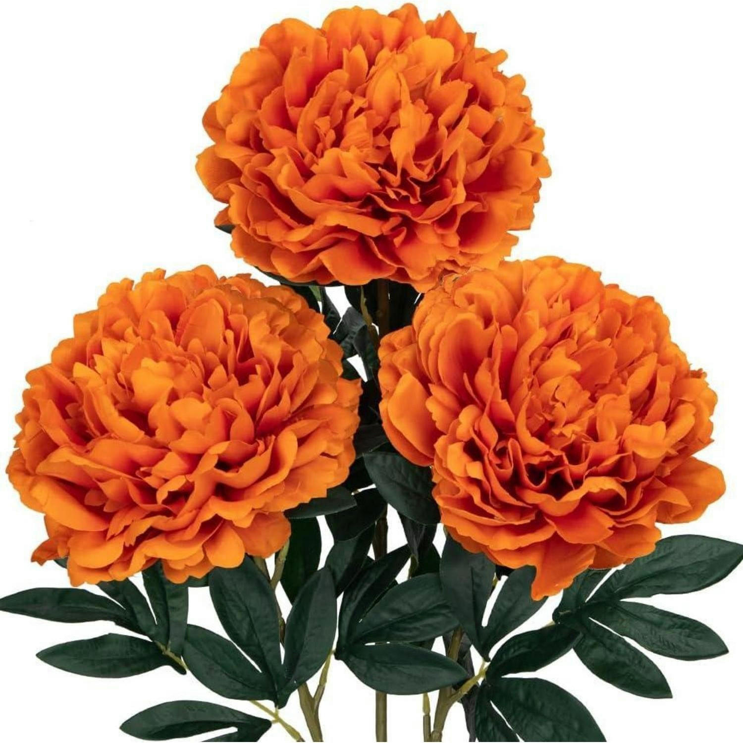 KÜNSTLICHE Pfingstrosen 3er Set 74 cm Orange - Orange, Kunststoff (38cm)