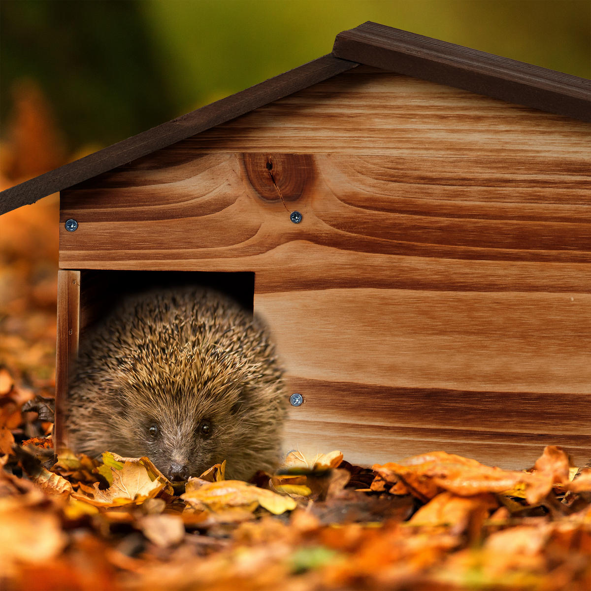 IGELHAUS - Hellbraun, Holz/Metall (46/24/33.5cm) - Relaxdays