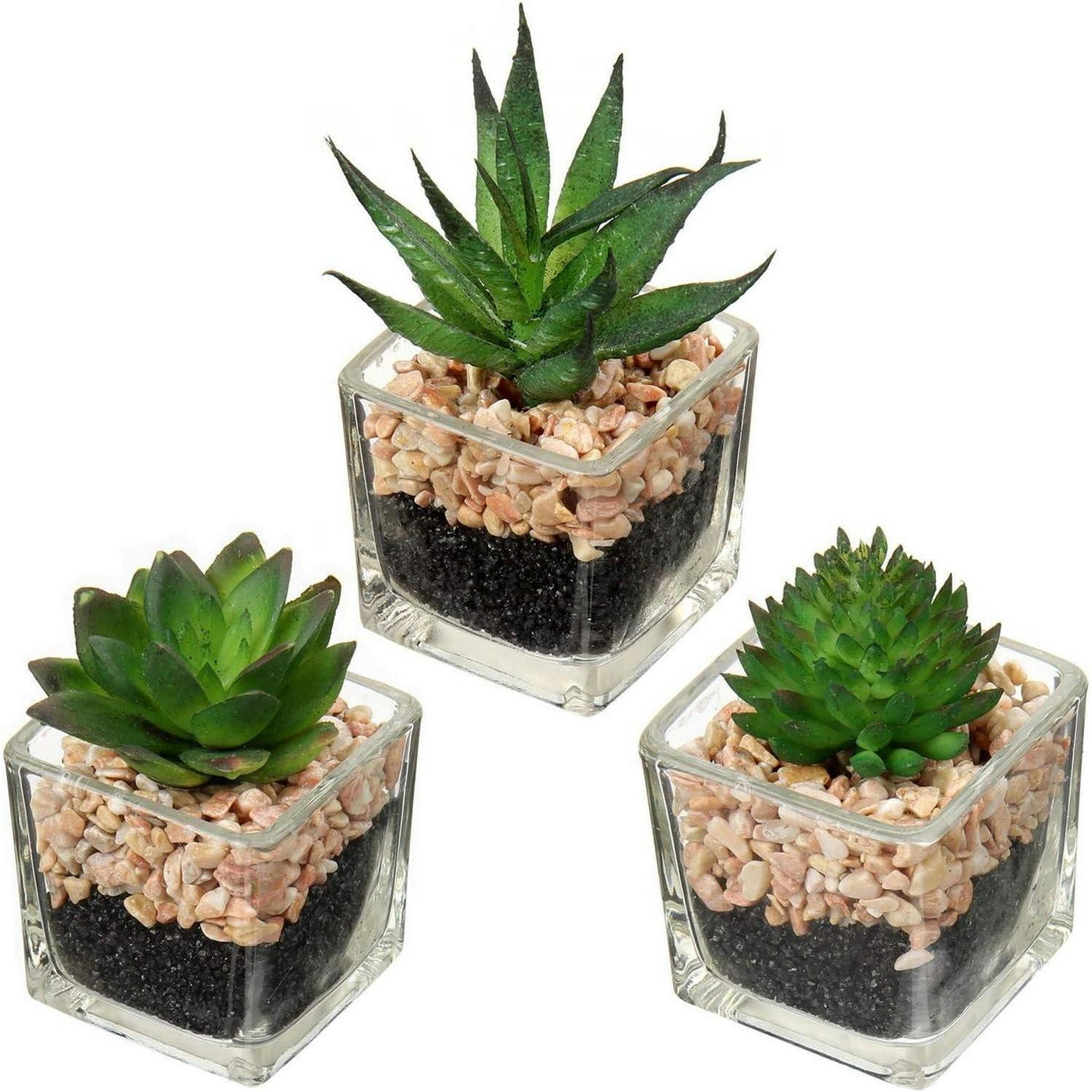 KUNSTPFLANZE 3er Set im Glastopf Höhe 10.5cm - Multicolor, Glas (8cm)
