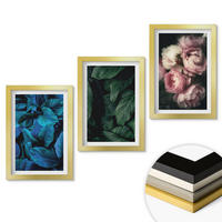 WANDBILDER 3er Set - 20x30 cm Goldrahmen - Blätter, Blüten, verschiedene Farben - Goldfarben, Kunststoff (20/30cm) - ArtPrintCave