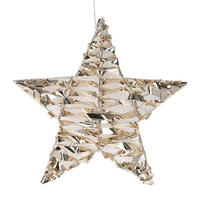 LICHTDEKORATION Stern 30 cm - Goldfarben, Kunststoff (8/30/30cm) - Home Styling Collection