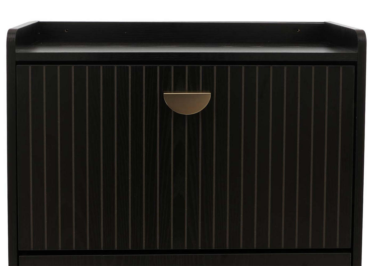 SCHUHSCHRANK Schwarz - Schwarz, Holzwerkstoff (50/148/24cm) - MCW