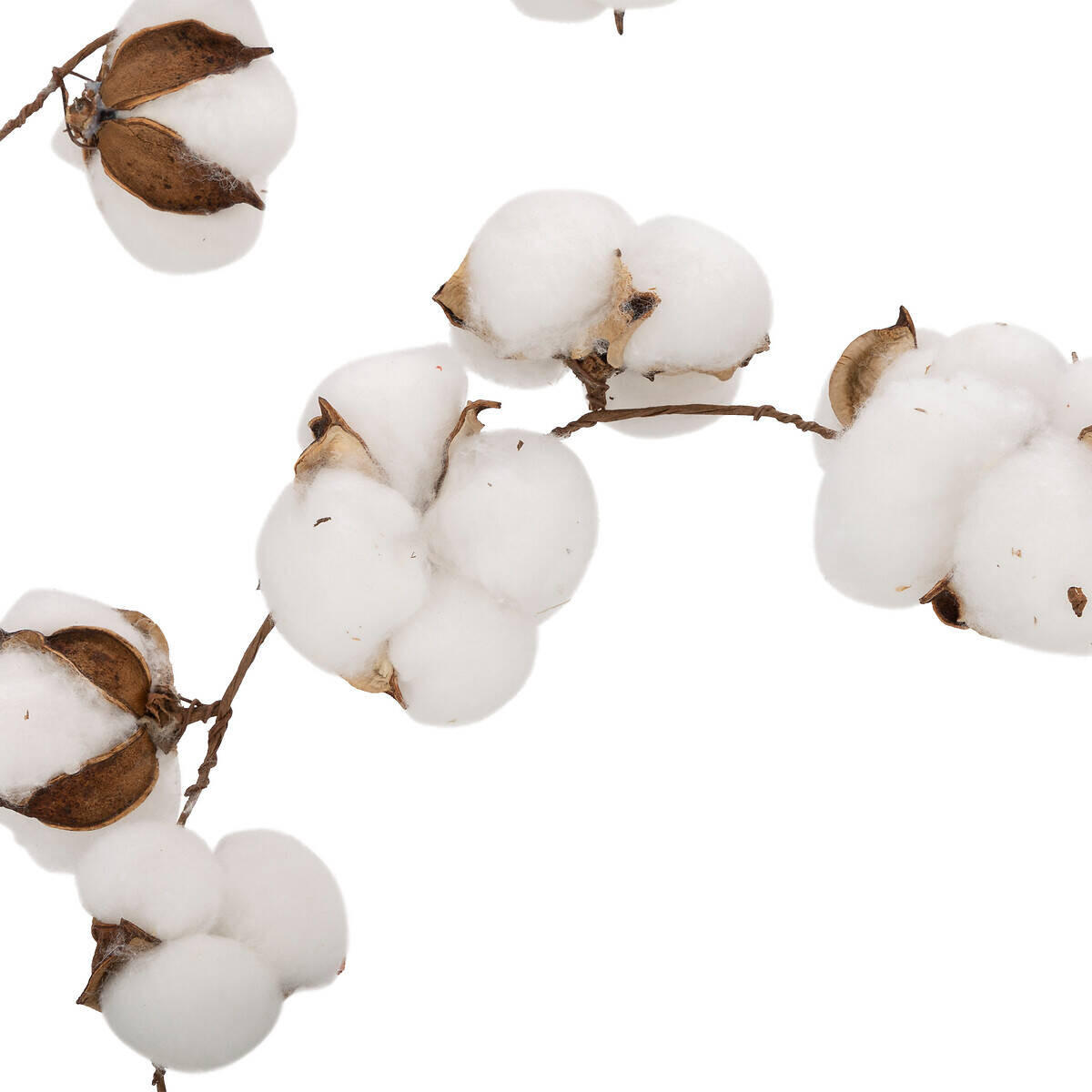 GIRLANDE Baumwollblumen 200 cm - Weiß, Naturmaterialien (200cm) - Atmosphera Createur d´interieur