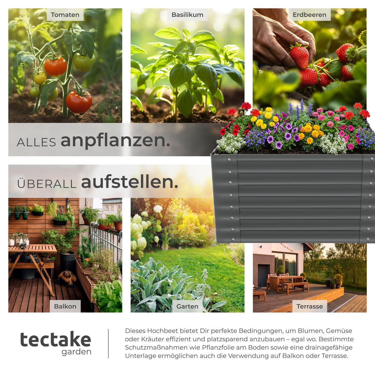 HOCHBEET Blomma, mit offenem Boden und abgerundeten Kanten, anthrazit - Anthrazit, Metall (100/62/100cm) - tectake