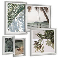 BILDER SET 5er Set - 50x50 cm & 20x30 cm & 40x60 cm Silberner Rahmen - Tropische Pflanzen für den Urlaub - Silberfarben, Kunststoff (40/60cm) - TULUP