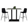 TRESENTISCH Electra 120x70x106 schwarz matt/Pinie green matt lack - Grün, Metall (120/70/106cm) - 58aufmkessel