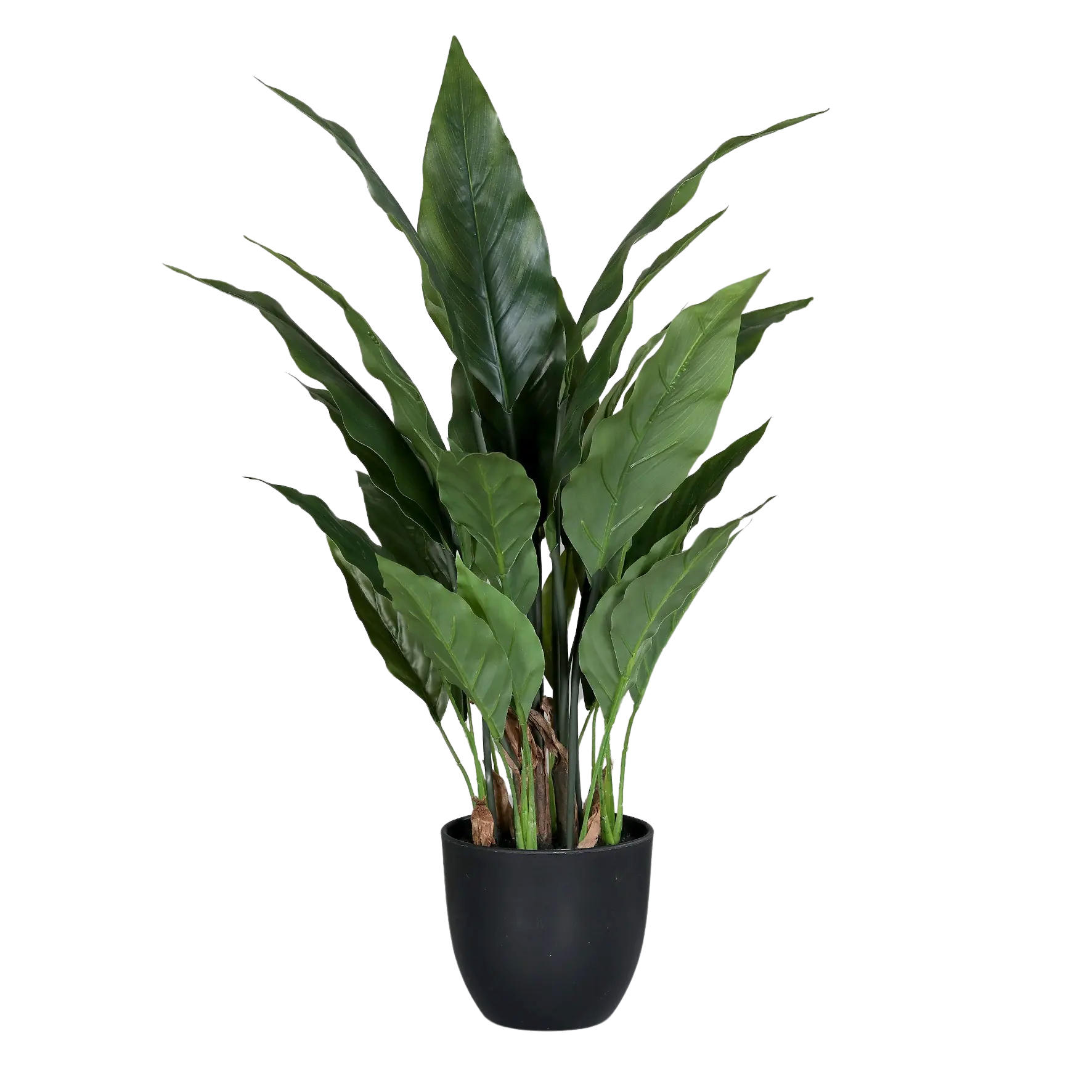 aplanta Künstliches Grün 55 cm
