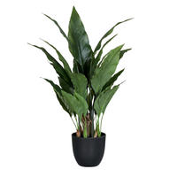 KUNSTPFLANZE Künstliches Spathiphyllum - Abel 55 cm - Grün, Kunststoff (55cm) - aplanta