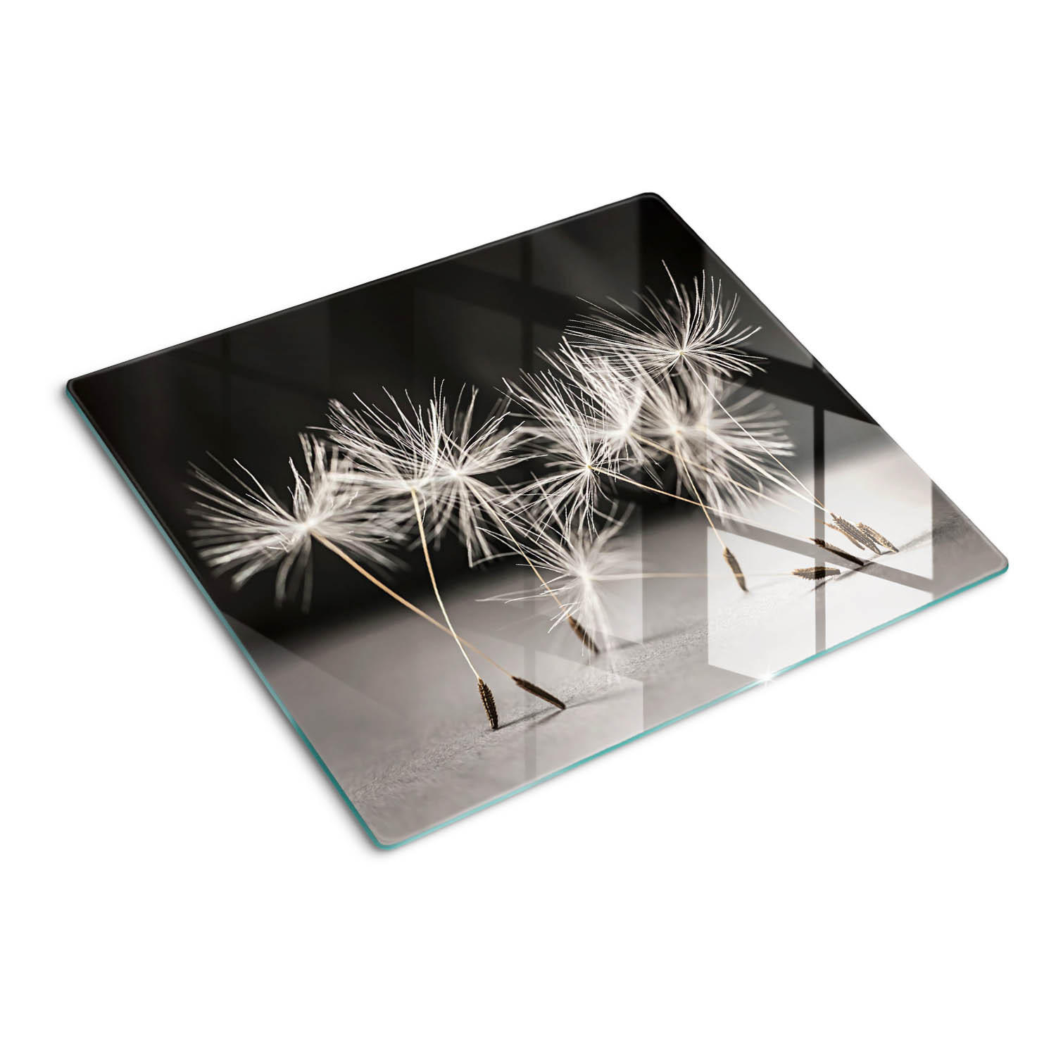 GLASPLATTE 60x52 cm Löwenzahn - Schwarz, Glas (60/0.4/52cm) - TULUP