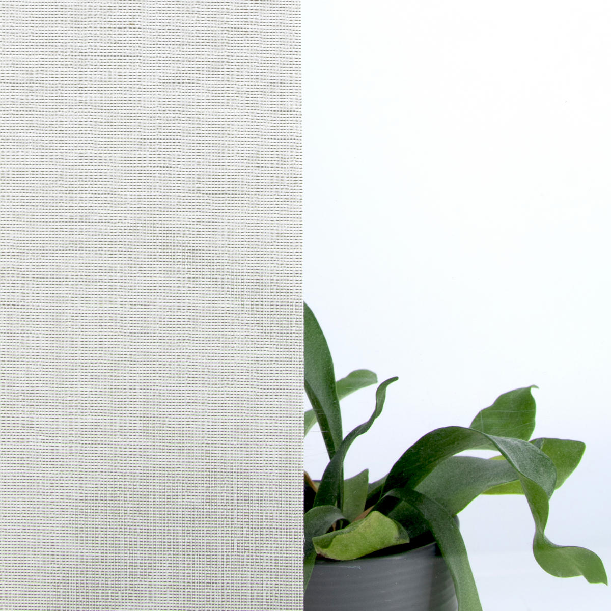 FENSTERFOLIE Textil 150x45 - Sandfarben, Kunststoff (45/1/150cm) - Art for the Home