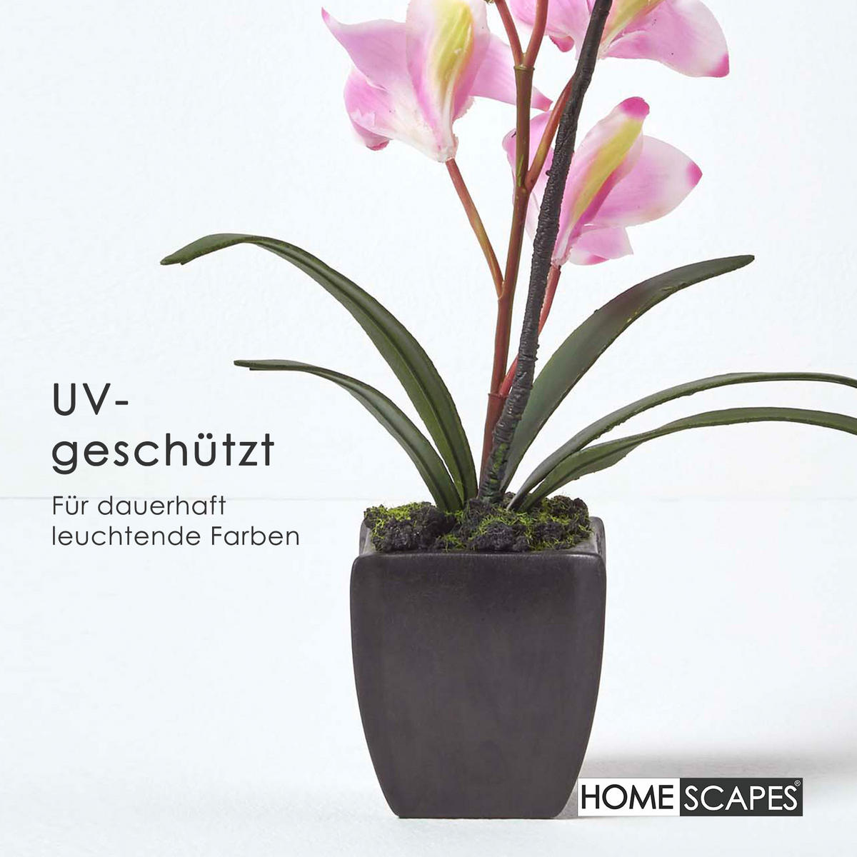 KUNSTBLUME Orchidee rosa im Deko-Topf, 38 cm - Rosa, Kunststoff (38cm) - Homescapes