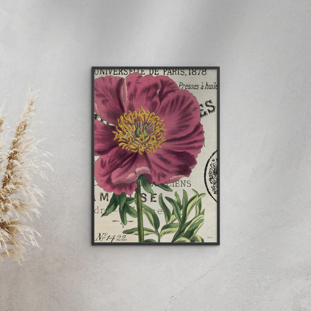 POSTER mit Rahmen Wild Apple - Global - Pink/Schwarz, Holz/Papier (50/70cm) - Poster&Frame