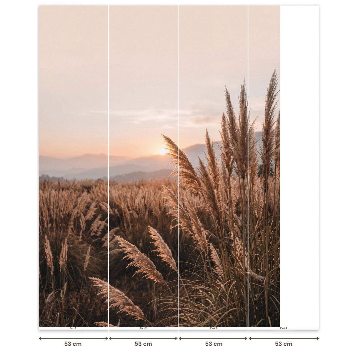 TAPETE - Gras - Feld - Sonne - Natur - 180x240 cm - Sandfarben, Papier (180/240cm) - OnlyWow