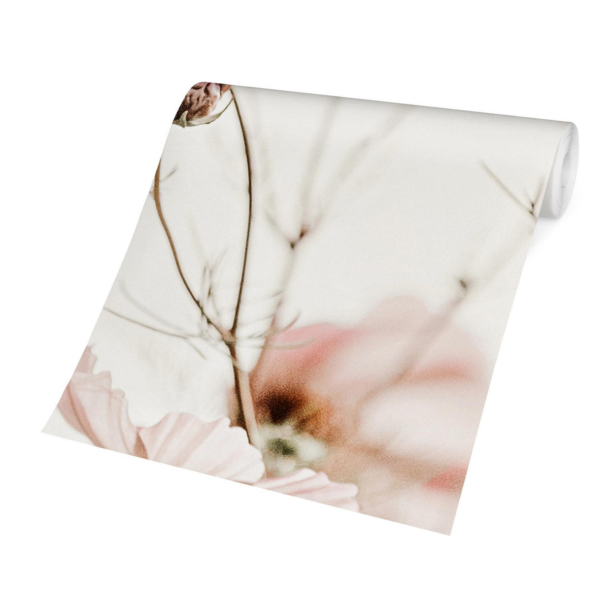 FOTOTAPETE Cosmea in zarten Cremetönen 288/190 cm - Eichefarben, Papier (288/190cm) - Bilderwelten