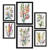 POSTER Set Mit 6 Wildblume Größe A3 & A4 Schwarzer Rahmen - Schwarz, Papier (29.7/1cm) - Nacnic