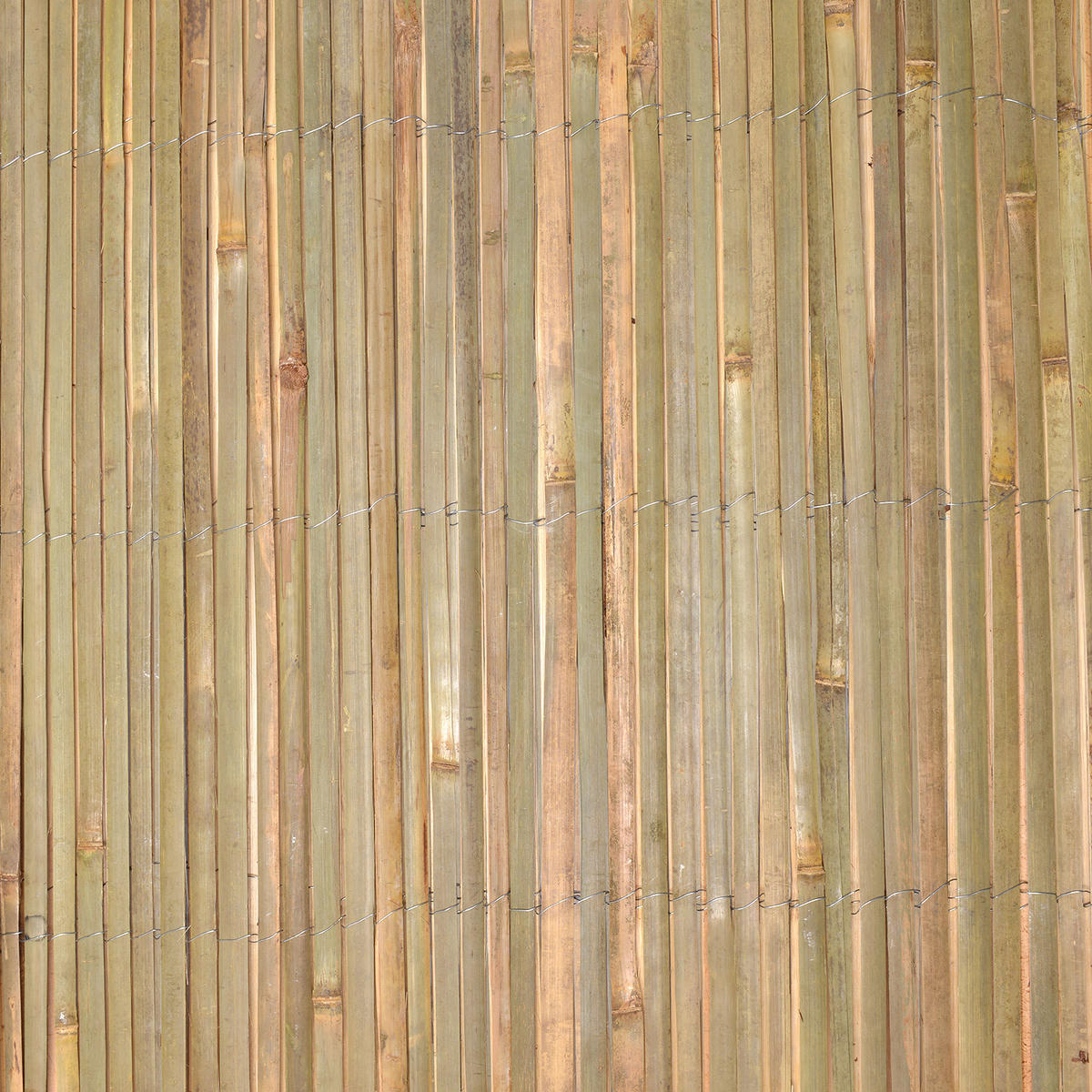SICHTSCHUTZZAUN SolVision B89 120/600 cm Bambus - Naturfarben, Kunststoff (600/120cm) - Sol Royal