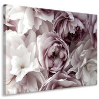 LEINWANDBILD Blumen Pflanzen Natur 3D Effekt 40/30 cm - Rosa/Weiß, Textil (40/30cm) - Muralo
