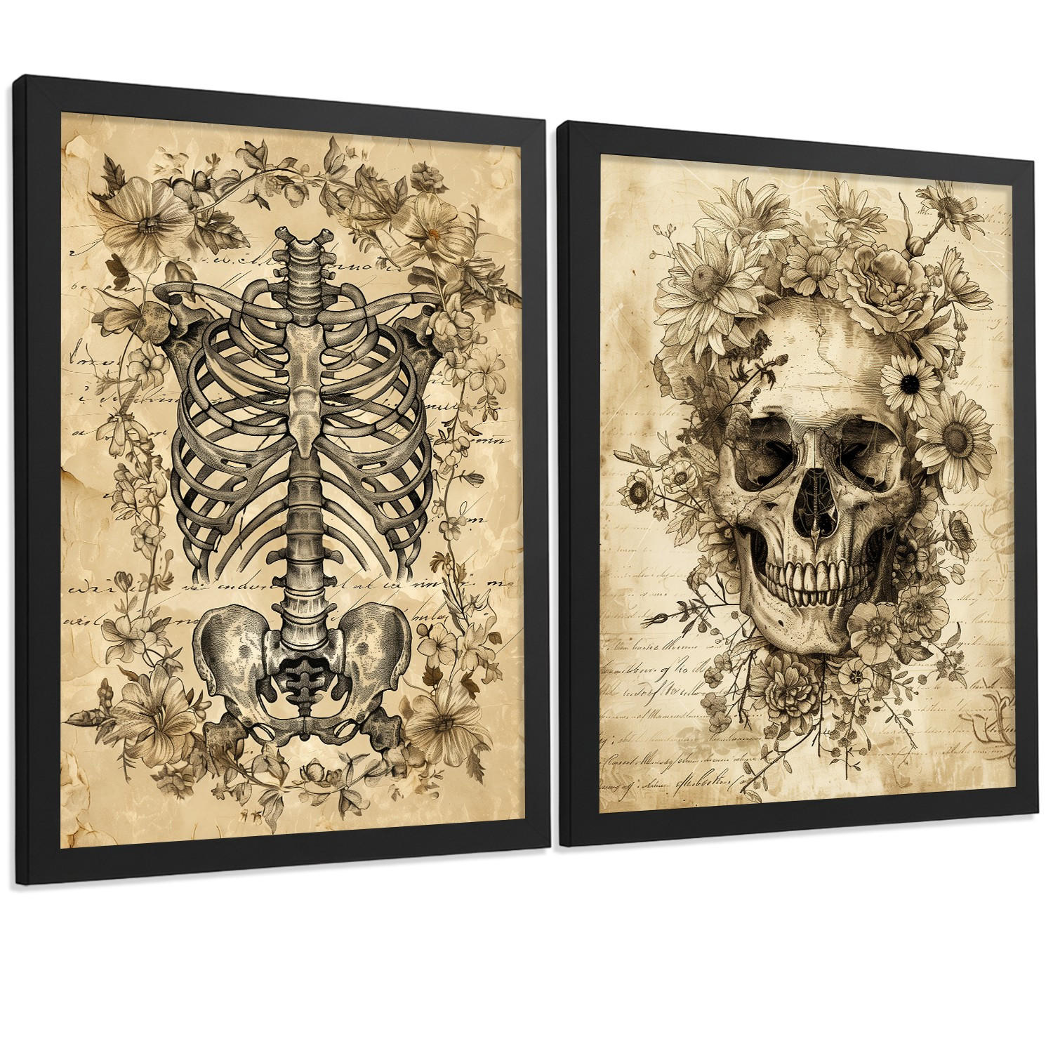 POSTER Set aus 2 Anatomie Mensch Drucke und Wandbilder mit Schädel Wirbelsäule Rippen Becken Klassisches Vintage Design Größe Schwarzer Rahmen A4 - Schwarz, Papier (21/29.7/3cm) - Nacnic