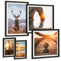 BILDER SET 5er Set - 50x50 cm & 20x30 cm & 40x60 cm Schwarzer Rahmen - Blätter des Weißen Tigerwasserfalls - Schwarz, Kunststoff (40/60cm) - TULUP