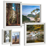 BILDER SET 5er Set - 50x50 cm & 20x30 cm & 40x60 cm Weißer Rahmen - Wasserfall Wald Berge Hirsch Natur - Weiß, Kunststoff (40/60cm) - TULUP