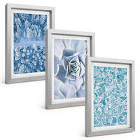 BILDER SET 3er Set - 20x30 cm Silberner Rahmen - Winterwald blaue Blume Wasser - Silberfarben, Kunststoff (20/30cm) - TULUP