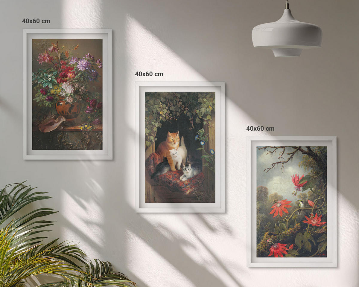 WANDBILDER 3er-Set - 40x60 cm Weißer Rahmen - Vintage-Blumen, Katzen, Natur - Weiß, Kunststoff (40/60cm) - ArtPrintCave