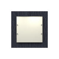 DECKENLEUCHTE - Schwarz, Metall (9/40/40cm) - Lumicom