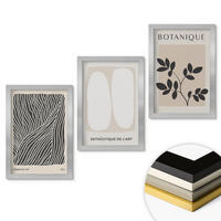 WANDBILDER 3er Set - 20x30 cm Silberner Rahmen - Pflanzenmuster und Linien - Silberfarben, Kunststoff (20/30cm) - ArtPrintCave