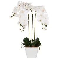 KÜNSTLICHE Topfpflanze 59 cm Grün/Weiß Orchid - Weiß/Grün, Kunststoff (59cm) - Beliani