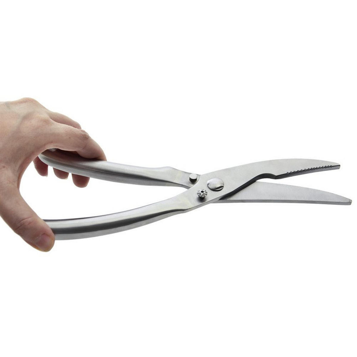 GEFLÜGELSCHERE Silber - Silberfarben, Metall (25cm) - Orion 