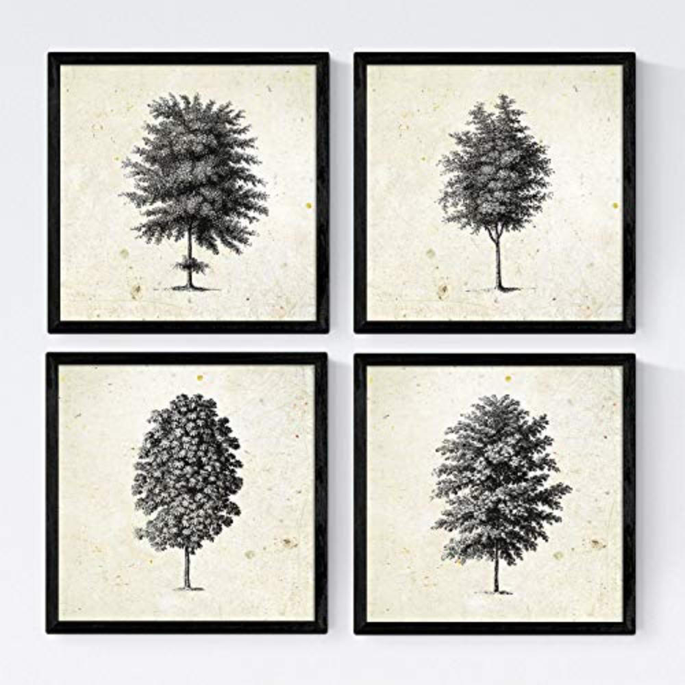 POSTER Set mit 4 Blättern der Baumstamm fein Jahrgang Hintergrund 20x20cm Rahmenlos - Klar, Papier (20/3cm) - Nacnic