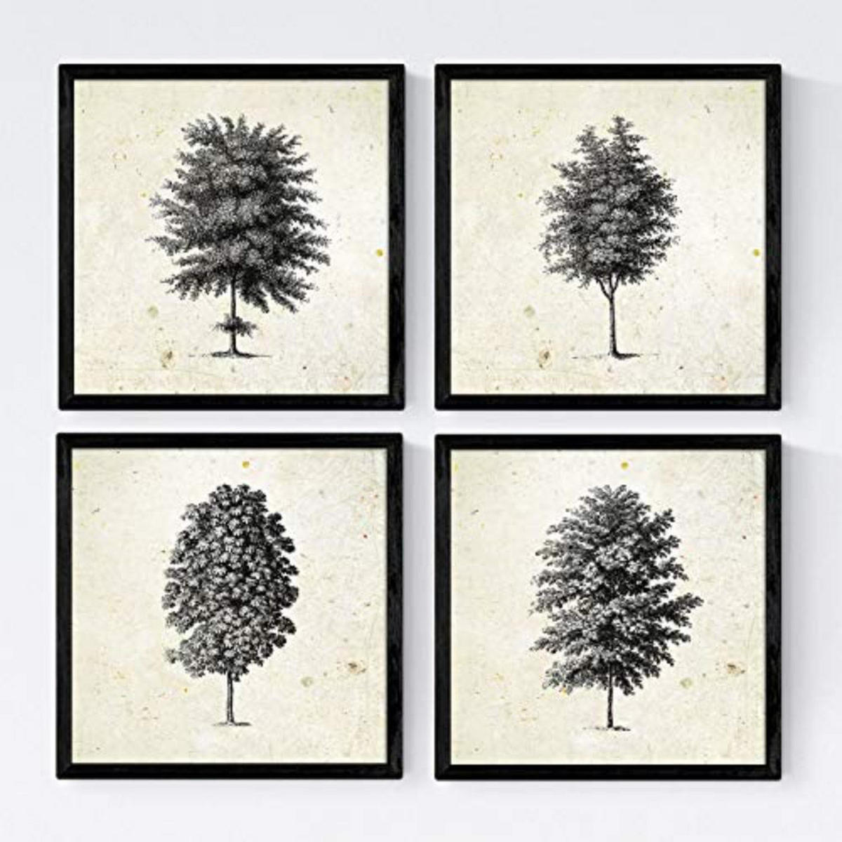 POSTER Set mit 4 Blättern der Baumstamm fein Jahrgang Hintergrund 20x20cm Rahmenlos - Klar, Papier (20/3cm) - Nacnic