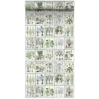 XXL-VLIESTAPETE Seiten aus botanischen Büchern 50 x 900 cm - Grün, Papier (50/900cm) - ESTAhome