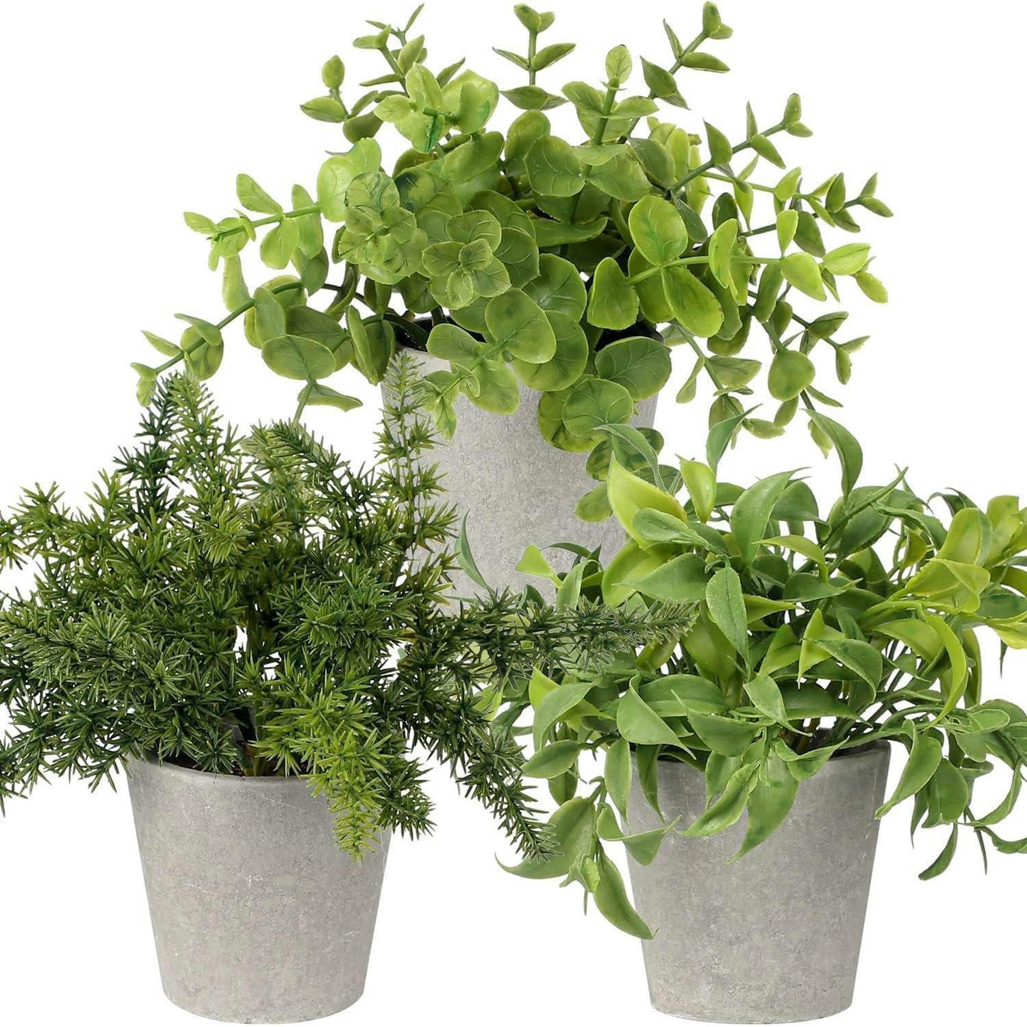 KUNSTPFLANZEN 3er Set Zementtopf Grün - Grün, Kunststoff (21.5cm)