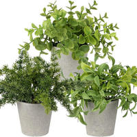 KUNSTPFLANZEN 3er Set Zementtopf Grün - Grün, Kunststoff (21.5cm)