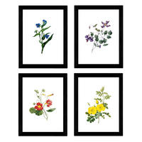 POSTER Set mit 4 Botanische Weiß Hintergrund farbige Blumen A3 Rahmenlos - Klar, Papier (29.7/3cm) - Nacnic