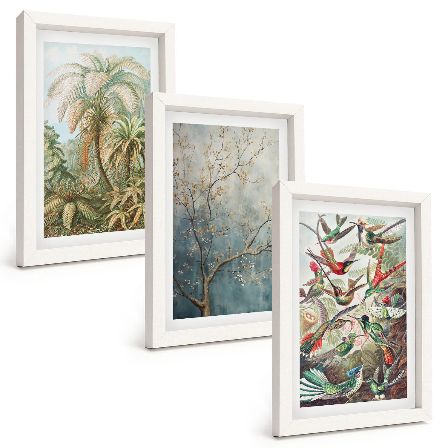 BILDER SET 3er Set - 20x30 cm Weißer Rahmen - Tropische Pflanzen, Vögel, Natur - Weiß, Kunststoff (20/30cm) - TULUP