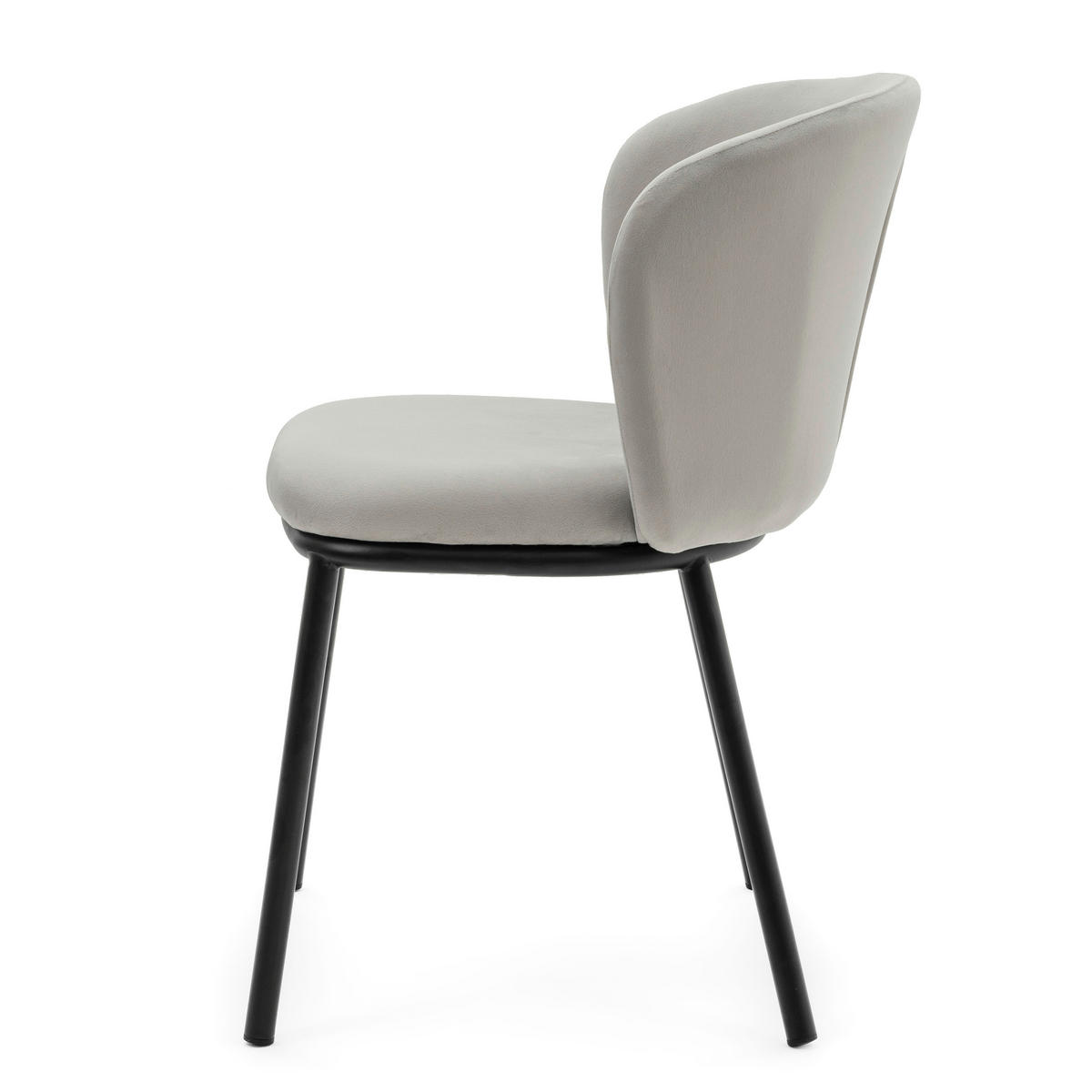 STUHL BARI gepolsterter mit Steppung - hellgrau - Samt Velour - Hellgrau/Schwarz, Textil/Metall (54/81/57cm) - NEW HOME