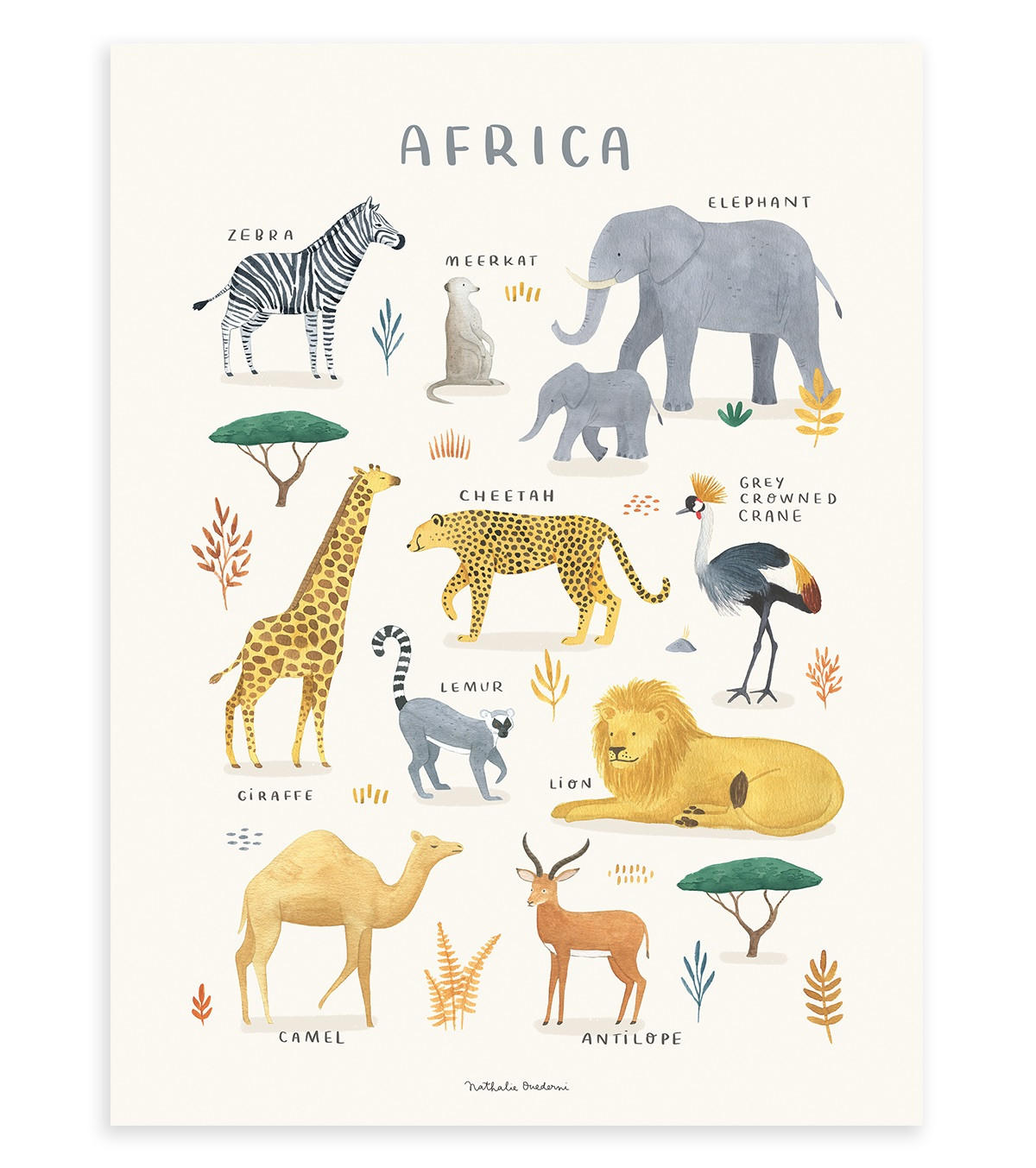 POSTER Tiere aus Afrika, 30x40 cm - Multicolor, Papier (30/1/40cm) - Lilipinso