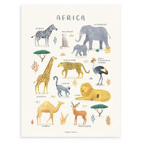POSTER Tiere aus Afrika, 30x40 cm - Multicolor, Papier (30/1/40cm) - Lilipinso