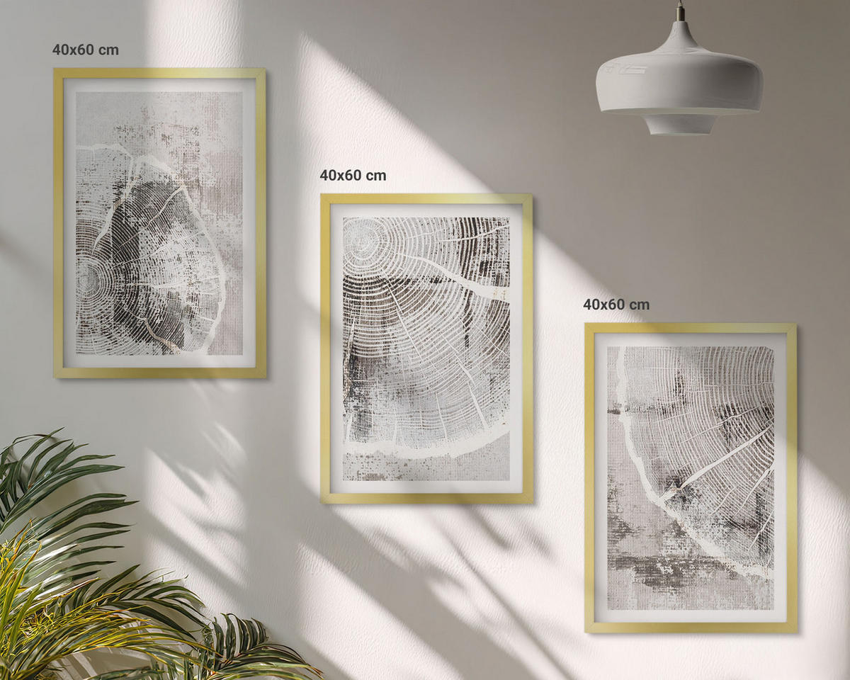 BILDER SET 3er Set - 40x60 cm Goldrahmen - Graue Holzmaserungsmuster - Goldfarben, Kunststoff (40/60cm) - TULUP