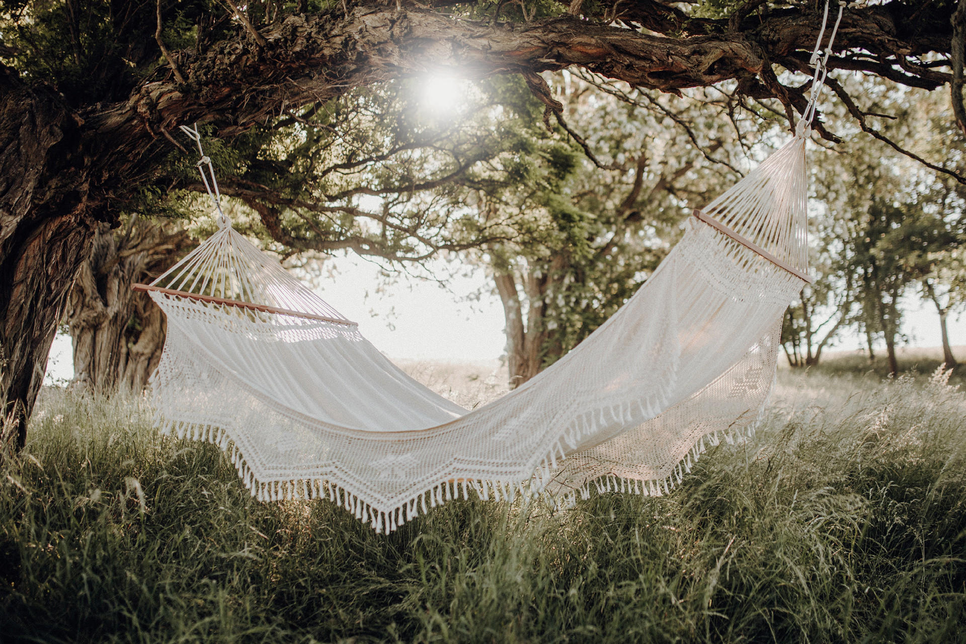 Hängematte