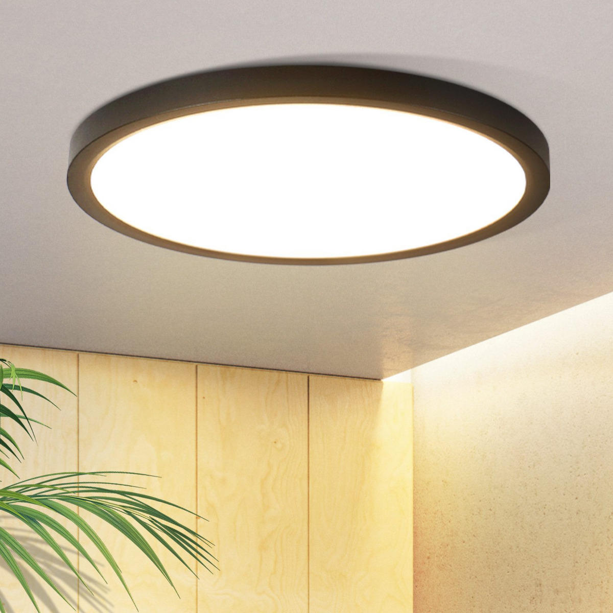 LED DECKENLEUCHTE Ianthelyn 18/18/2.4 cm - Schwarz, Kunststoff (18/18/2.4cm) - ZMH