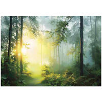 FOTOTAPETE 3D Effekt Wald Sonne Wohnzimmer 200x140 - Multicolor, Papier (200/140cm) - Wallarena