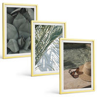 BILDER SET 3er Set - 40x60 cm Goldrahmen - Tropische Pflanzen für den Urlaub - Goldfarben, Kunststoff (40/60cm) - TULUP