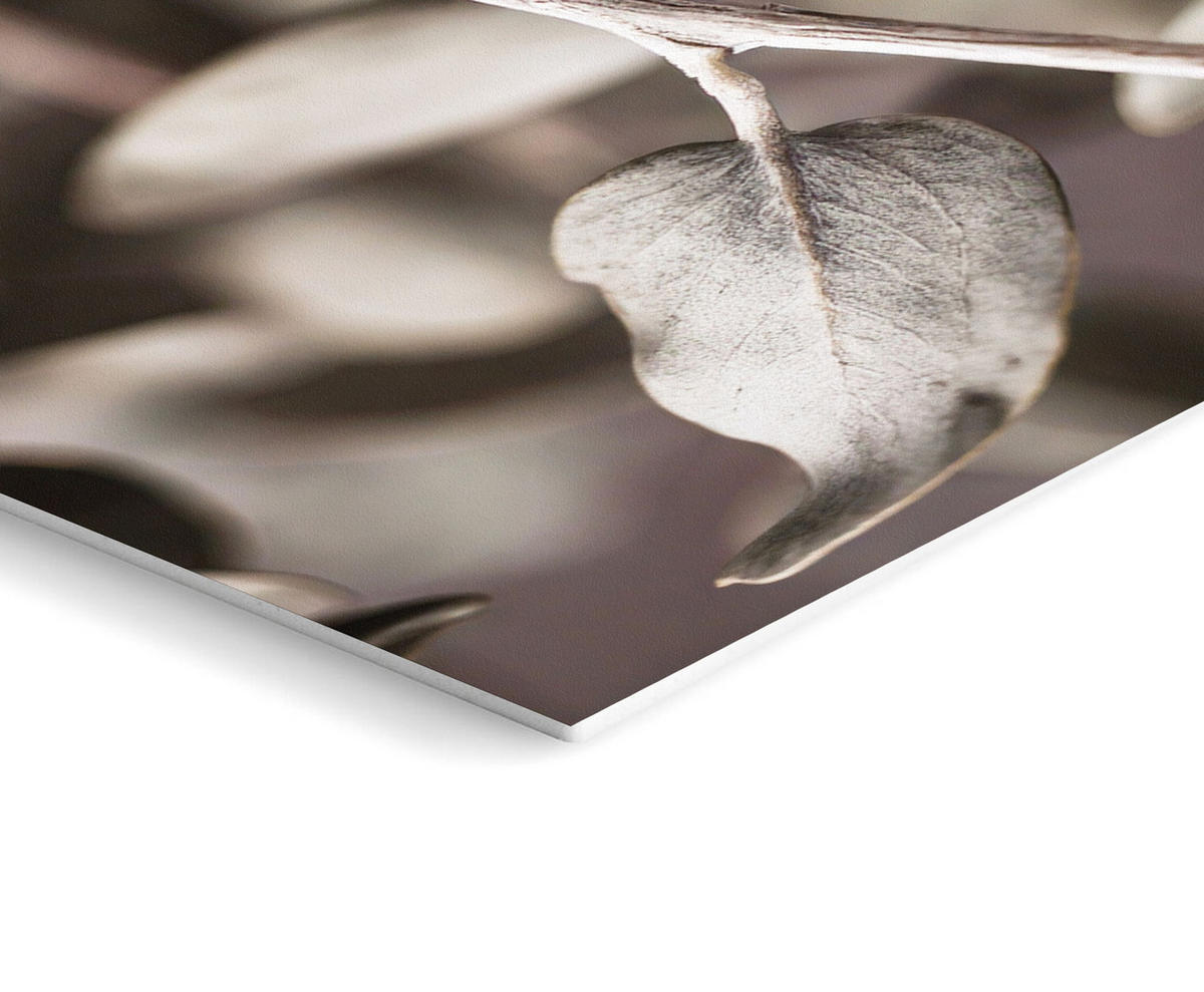 BILDERSET 6er-Set 30x40 cm + 20x30 cm Boho Landhaus - Beige, Kunststoff (105/85cm) - artissimo