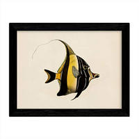 POSTER Artistic Fish – Yellow Lines A3 Rahmenlos - Klar, Papier (29.7/5/42cm) - Nacnic