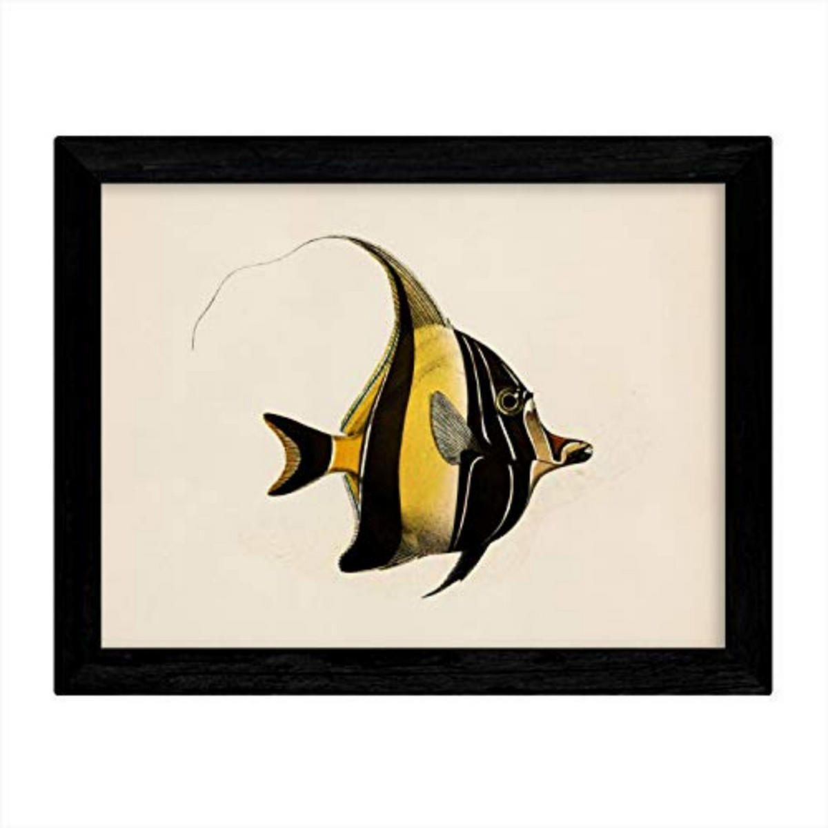 POSTER Artistic Fish – Yellow Lines A3 Rahmenlos - Klar, Papier (29.7/5/42cm) - Nacnic