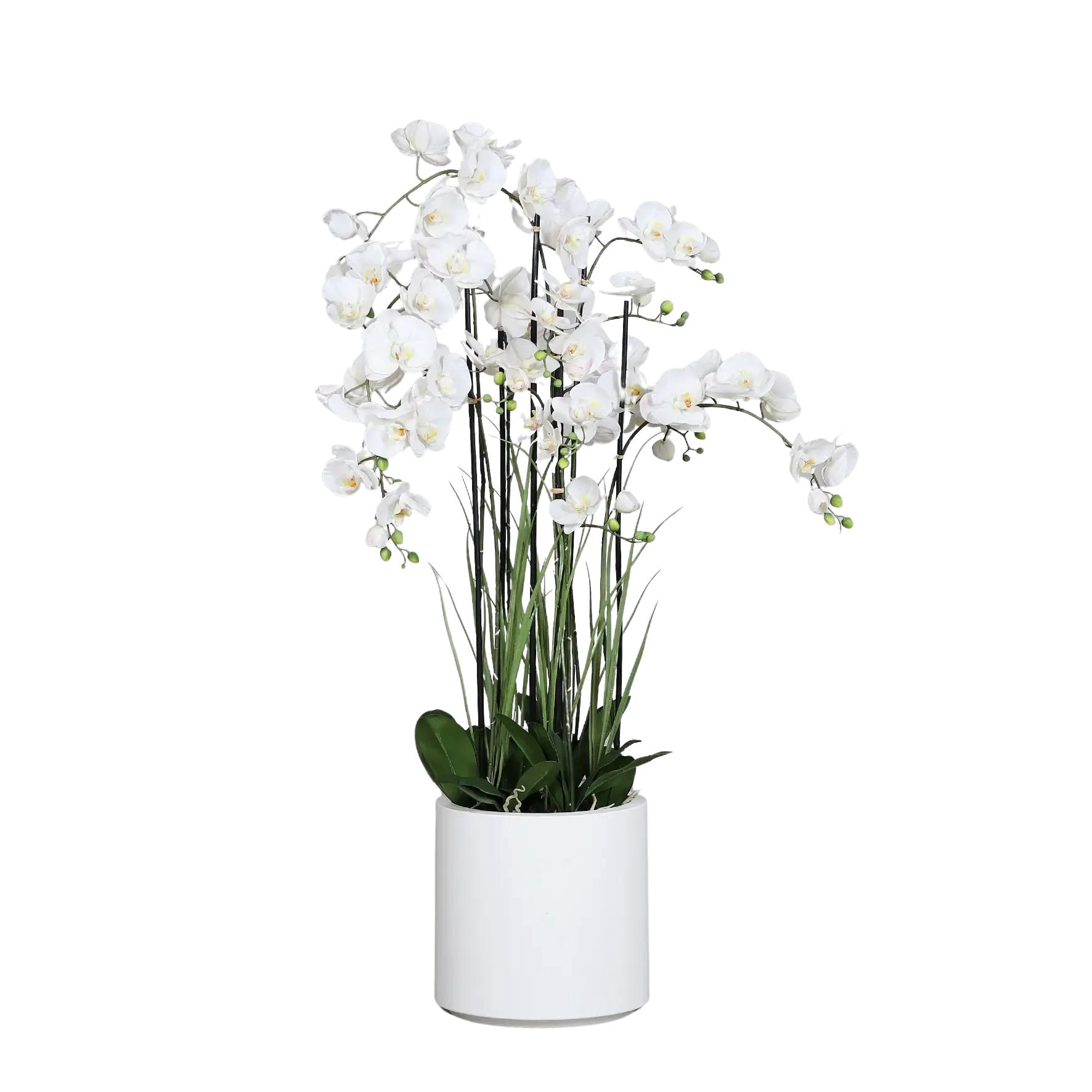 KÜNSTLICHE Orchidee - Yuri 134 cm in weißem Dekotopf, Real Touch - Grün, Kunststoff (134cm) - aplanta