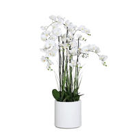 KÜNSTLICHE Orchidee - Yuri 134 cm in weißem Dekotopf, Real Touch - Grün, Kunststoff (134cm) - aplanta